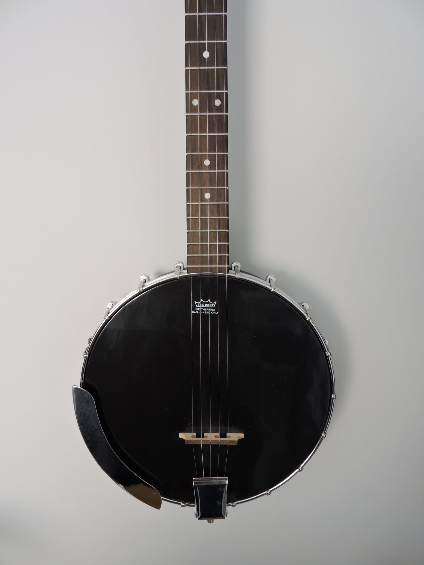 5 String Banjo