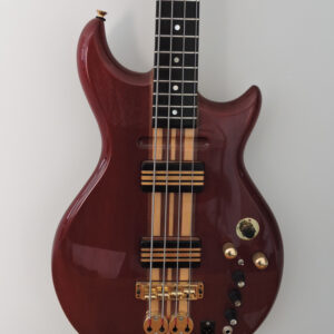 Electric Bass Guitar